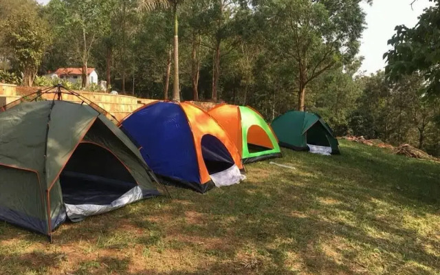 Nile Park - Campsite