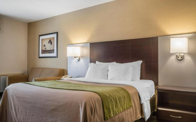 Comfort Inn Chatham