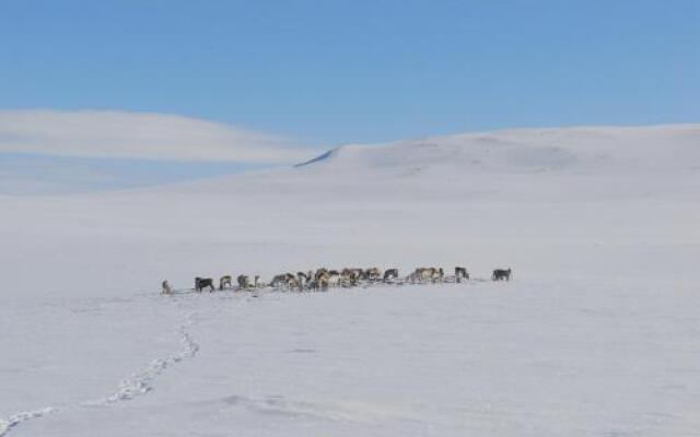 Kilpisjärven Tunturimajat Oy