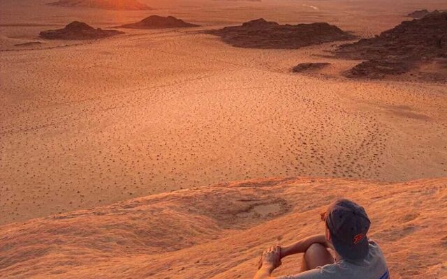 Bedouin habits tours camp