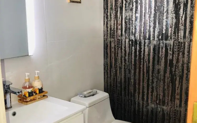 Suburb Pethouse Apartment