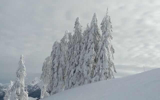 Gesundheitshotel Witzigmann