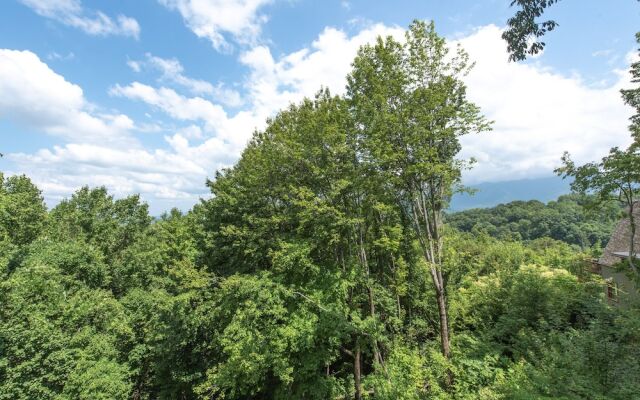 Birdsong by Jackson Mountain Rentals