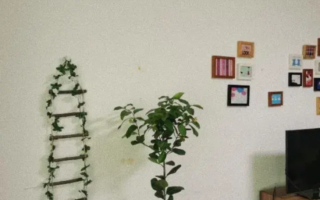 Anshun Yuxi Youth Hostel