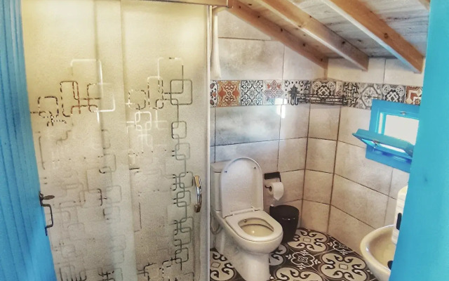 Alterna Koy Evi
