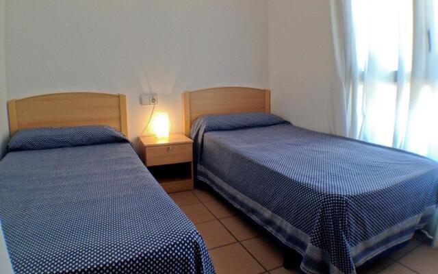 At011 Palmeres