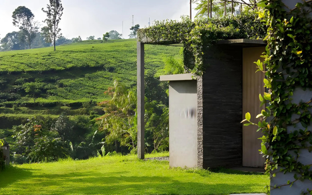 Tea Garden Resort