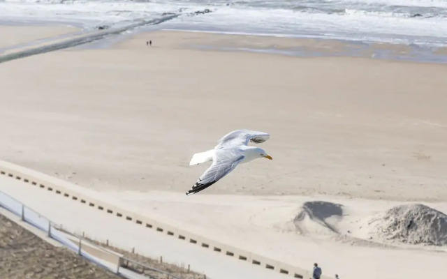 Apartment With Sun-facing Terrace
