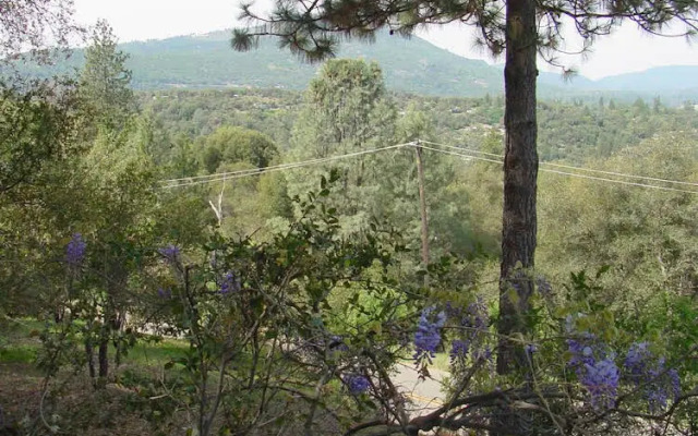 Vulture's View Bed and Breakfast