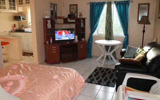 Cozy Studio @ Country Manor