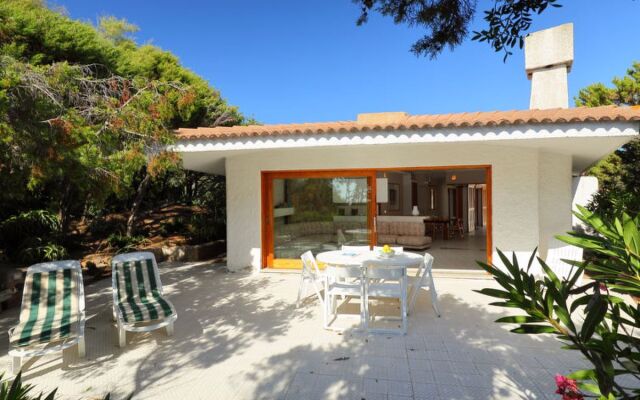 House Brunello Portobello