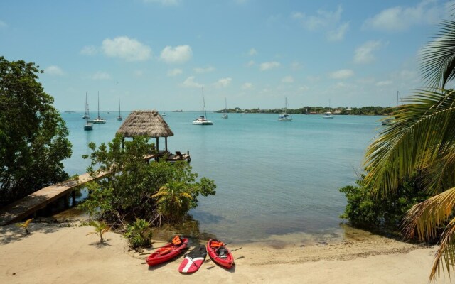Villa Island Time Gecko