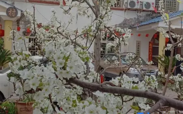Hanyuan Zaolin Homestay