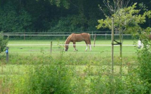 Restinn Meppen