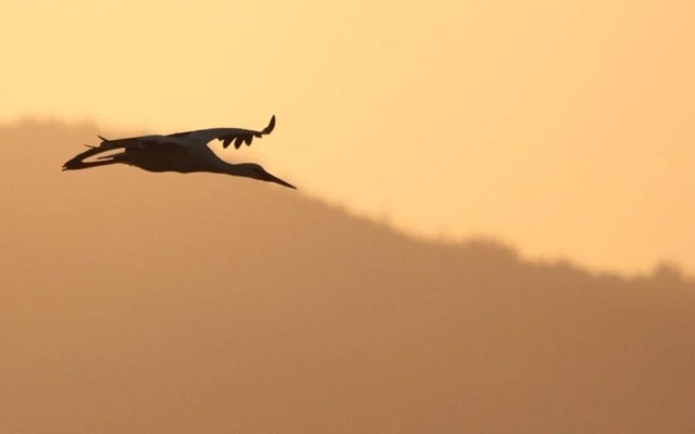 L'atelier du Tonnelier