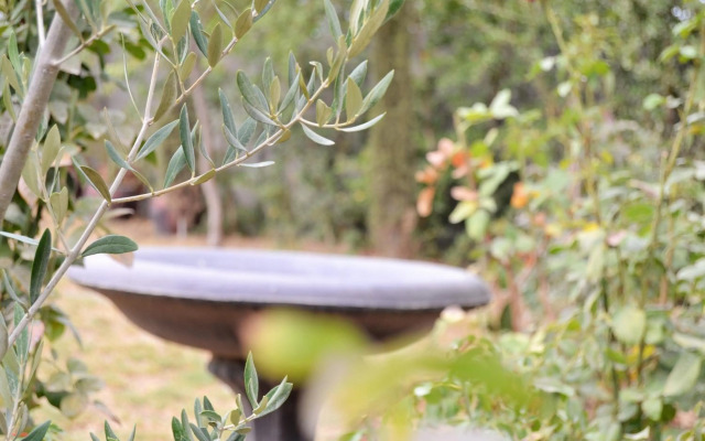 Versailles Self-Catering