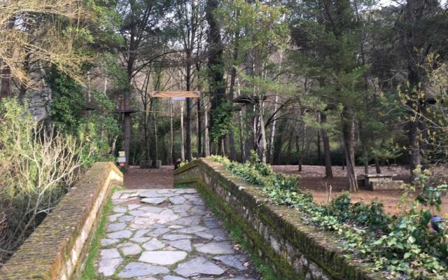 Nacimiento del Huéznar - Tomillo 23