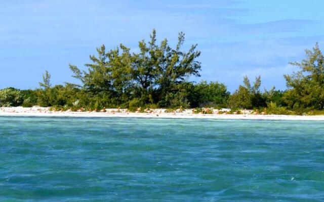 Tranquility on the bay