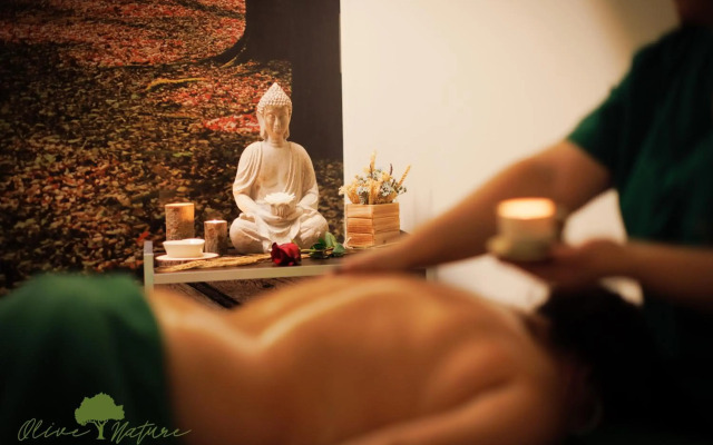 Olive Nature Hotel & SPA - Quinta Valle de Passos