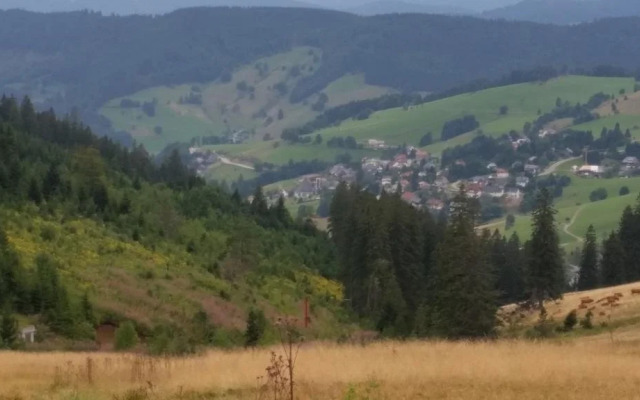 Gästehaus Weilerhof - Apartments