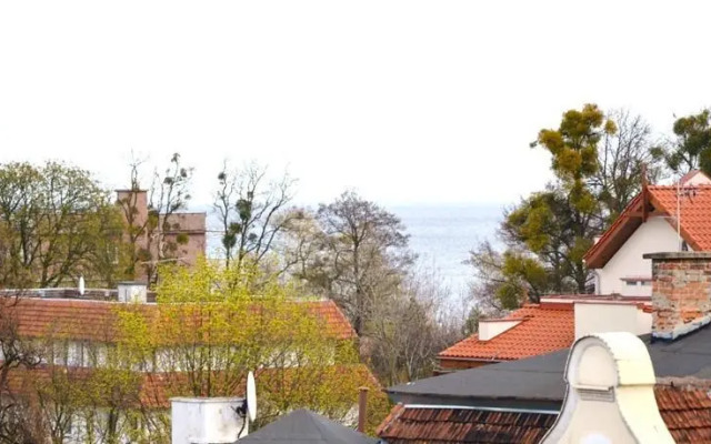 Vic Apartament Welkin