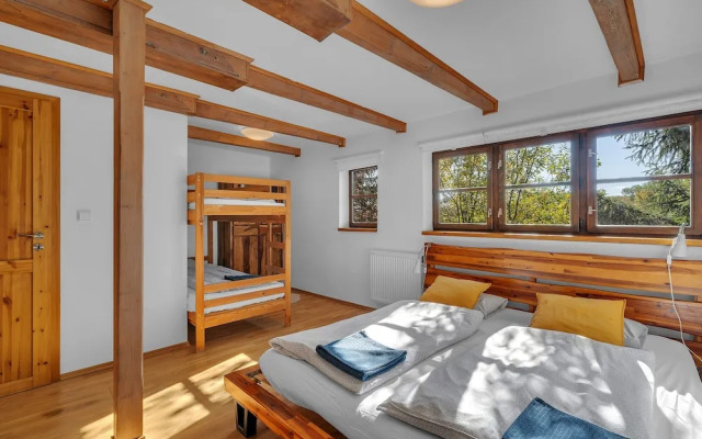 Villa in Dolni Branna With Sauna