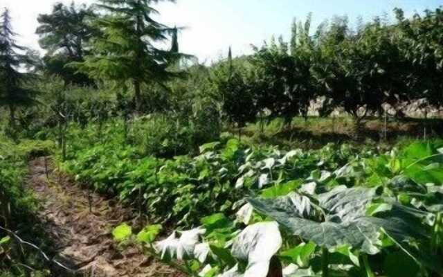 San Bernardino del Lago