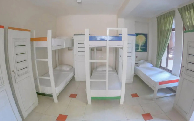 The Youth Hostel - It's a Youth Fame