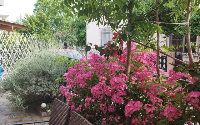 Mary's Dreamy Maisonette