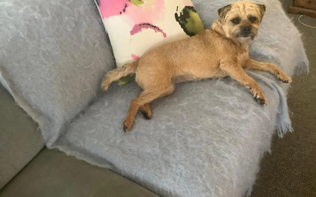 Petite Provence Cottage