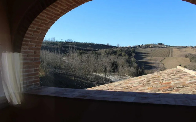 Il Poggio Del Tartufo