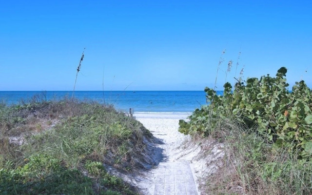 Lazy Dolphin Condo by RedAwning