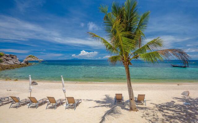 The Miracle Koh Tao