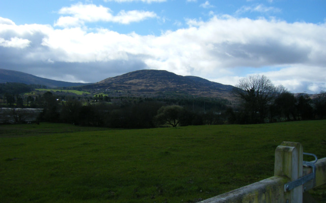 Ashfield Bed & Breakfast