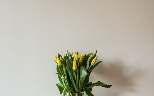 Marinus Apartments - Visit Gdansk