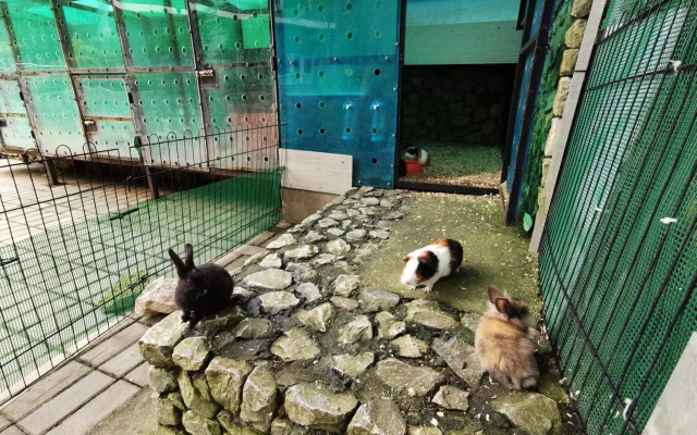 The Haven Central Lakeview Suite 3rooms (3-8pax)