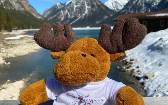 Tiroler Alpblick Appartements