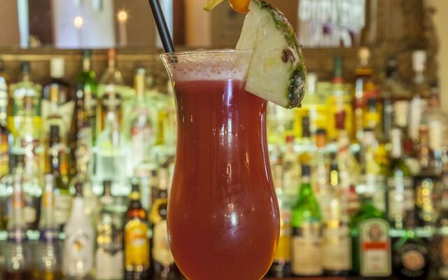 Schlosshotel Althörnitz