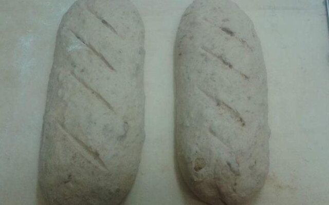 Ginepro d'Abruzzo