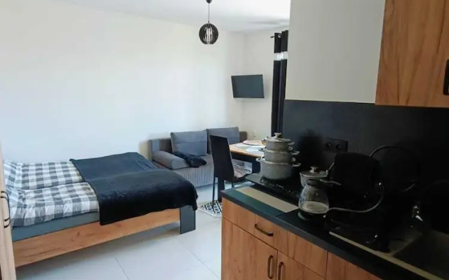 Holiday Studio for 3 People, Mielenko