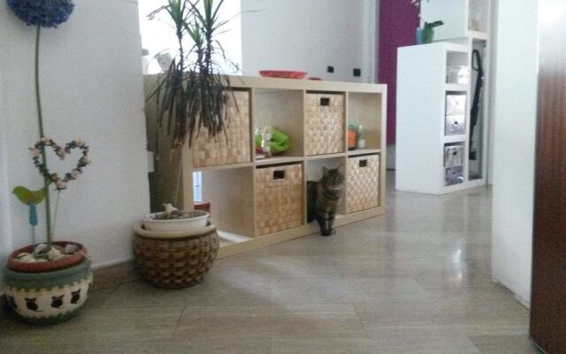 B&B My Home