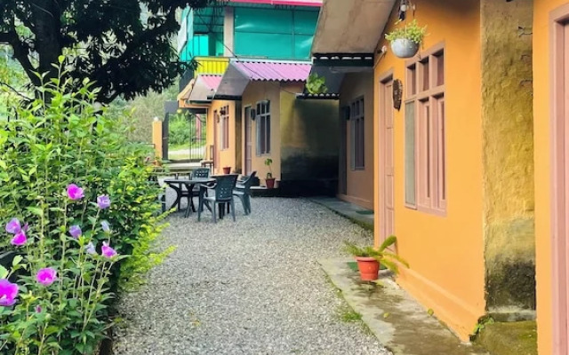 Hostel Abodes Trees of Heaven