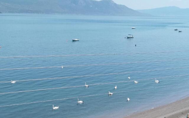 Mare e Monti1