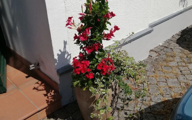Hotel Stadt Olbernhau