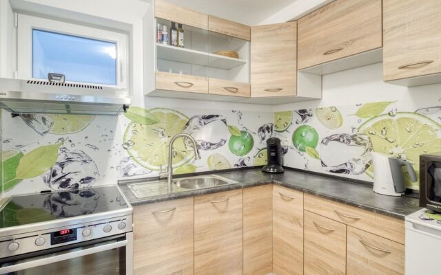 Elegant Apartment in Freiburg near Forest