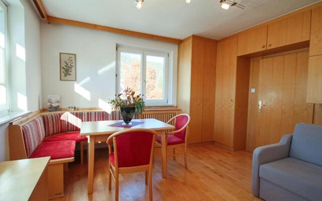 Appartement Wartinger by Schladming-Appartements