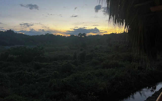 Dominican Jungle Resort