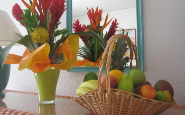 Studio 03 vue mer Orient Bay