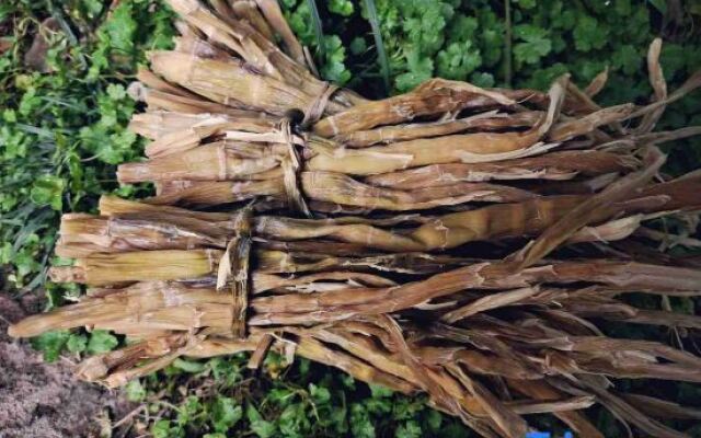 Two mus of Banvilla Tangquan Meisu (SHISHE Store)