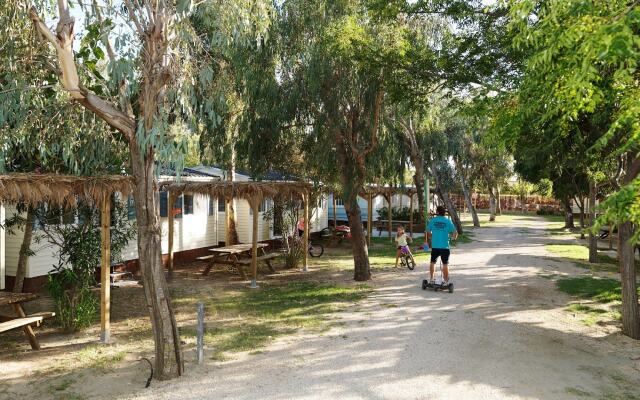 TAIGA Delta de l'Ebre
